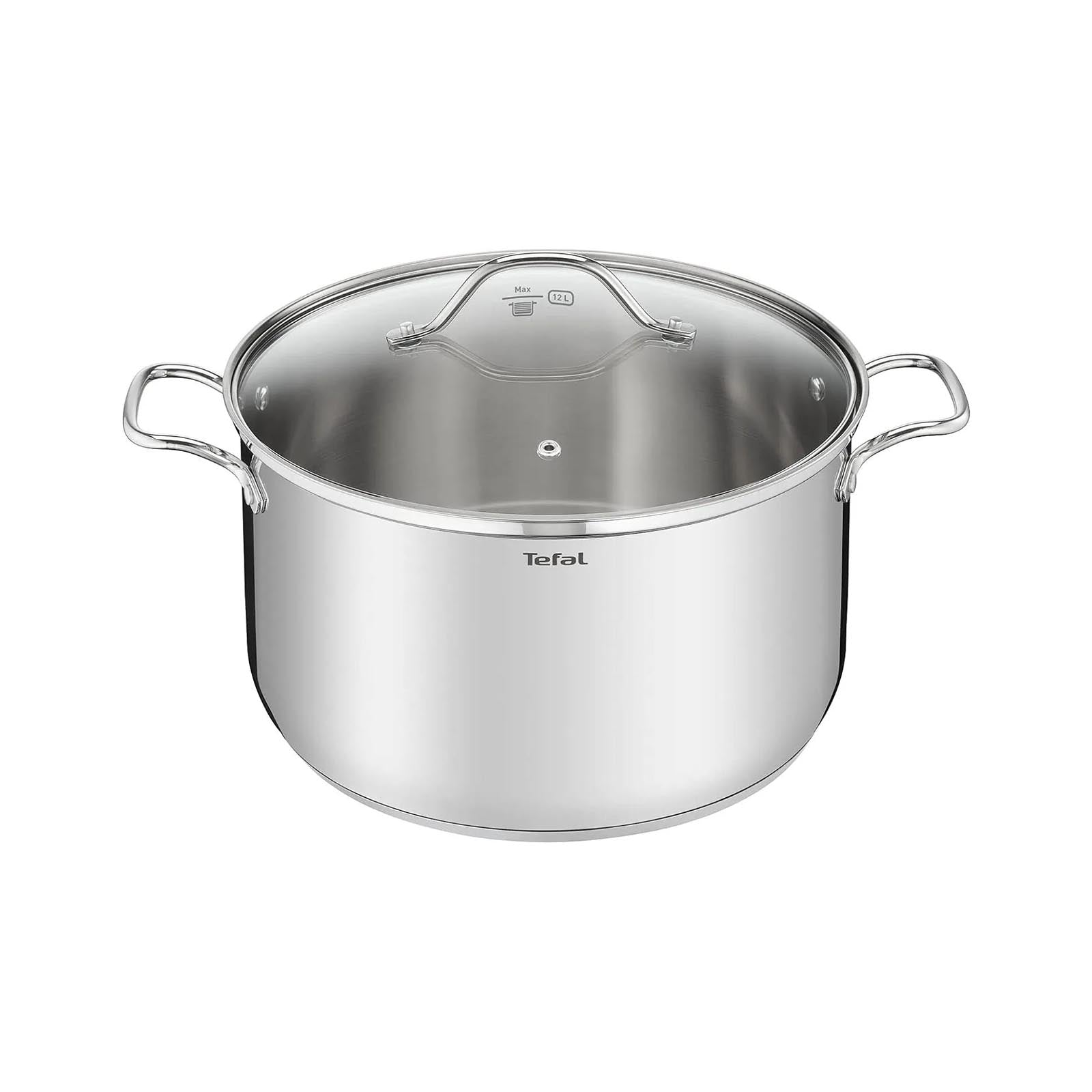 Intuition G6 SS Stockpot 36+ lid (17.5L) TEFAL